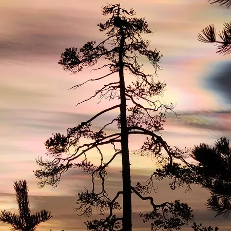 Kuikkaniemen Rantamoekki Ranua