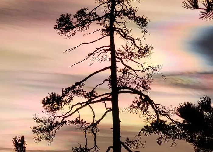 Kuikkaniemen Rantamoekki 라누아